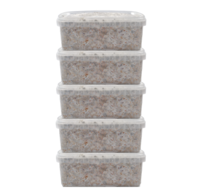 5 Magic Mushroom grow kit Discount Pack – Mondo®