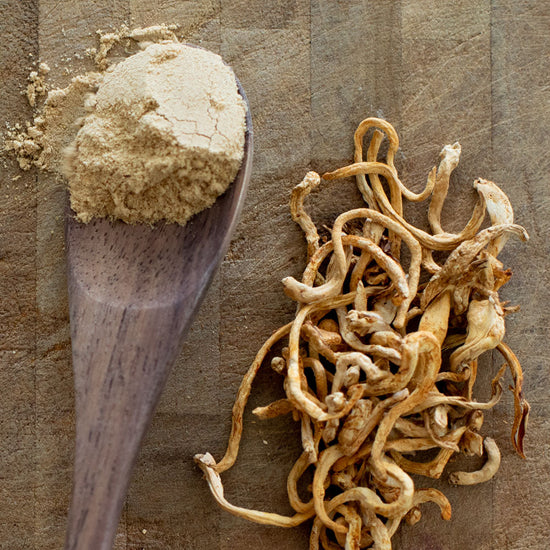 Stay Wyld Organics – Cordyceps Powder (100g)