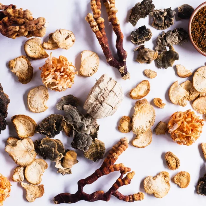 Buy-Stay-Wyld-Organics-–-Daily-Immunity-5-Blend-Powder-100g-Online.webp Stay Wyld Organics – Daily Immunity 5-Blend Powder (100g)