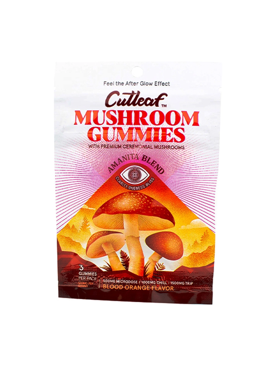 Blood Orange Cutleaf Mushroom Gummies Amanita Blend 500mg Blood Orange Cutleaf Mushroom Gummies Amanita Blend 500mg