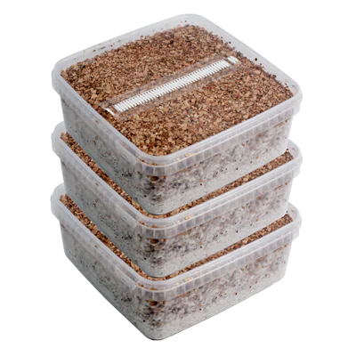 GetMagic® 3XL Magic Mushroom Grow Kit Discount Deal