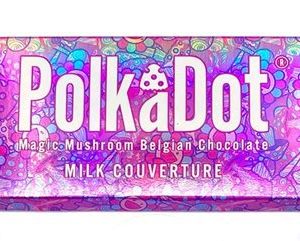 Polkadot-chocolate-bars-300x241-1.jpg Polkadot chocolate bars