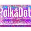 Polkadot chocolate bars