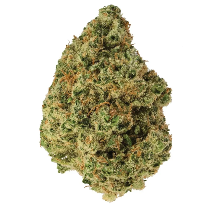 1050053_6f21c5ab-c943-42ac-8d56-7c87b99fd16b_1800x1800 (1) ACAPULCO GOLD